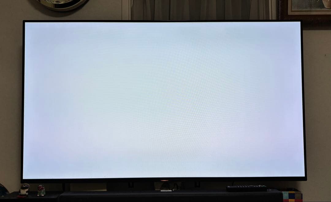 SONY BRAVIA 有機elテレビ　KJ-55A8G 19年 ※直接引取り可