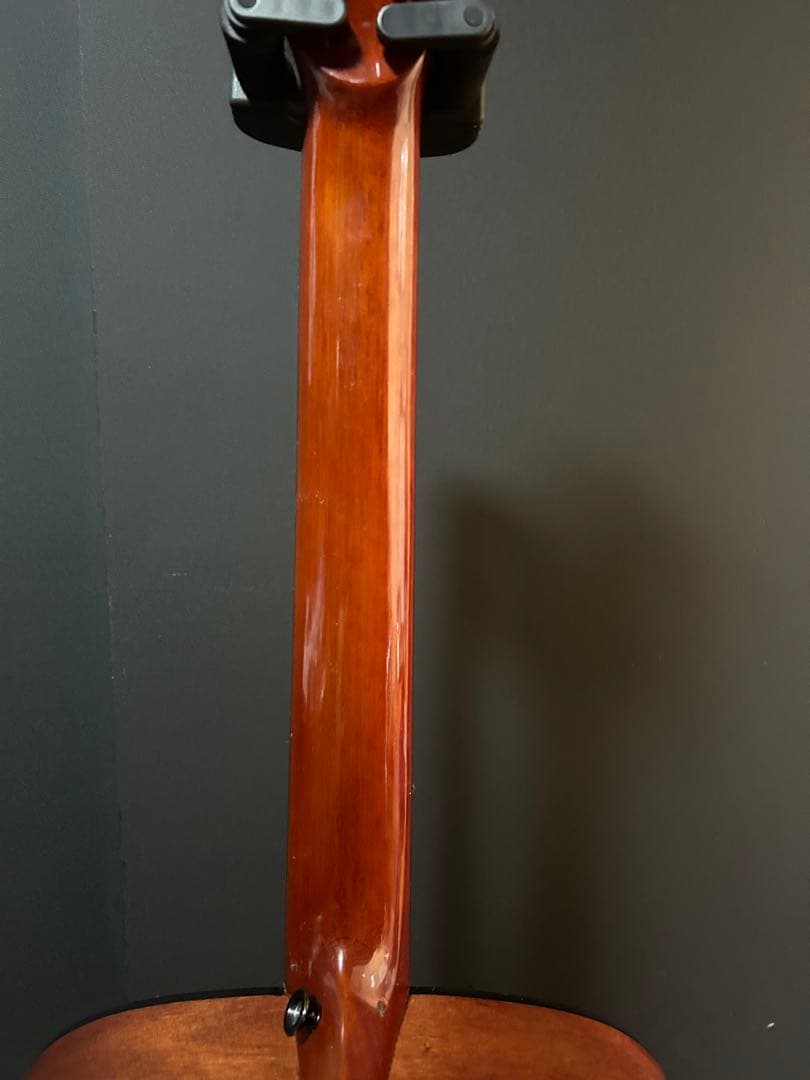 TAMINE ＴＤ２３　オールマホガニーボディ