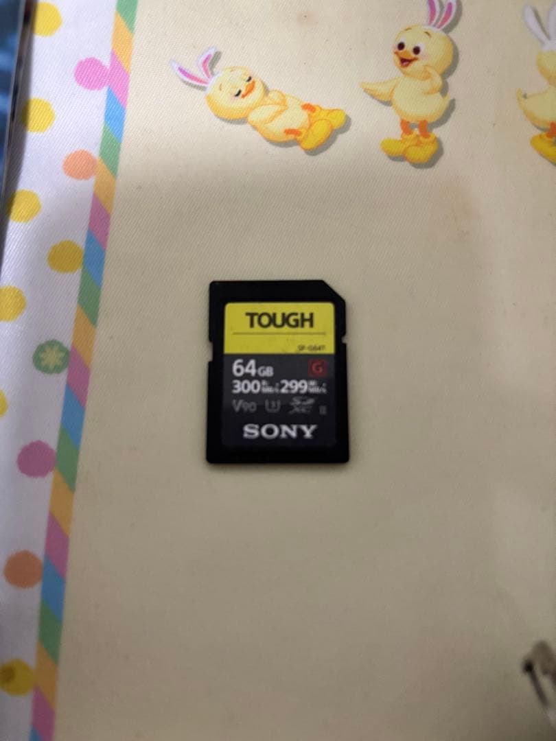 【蒼越さま専用！】Canon デジタル一眼レフカメラ・メモリーカードセット