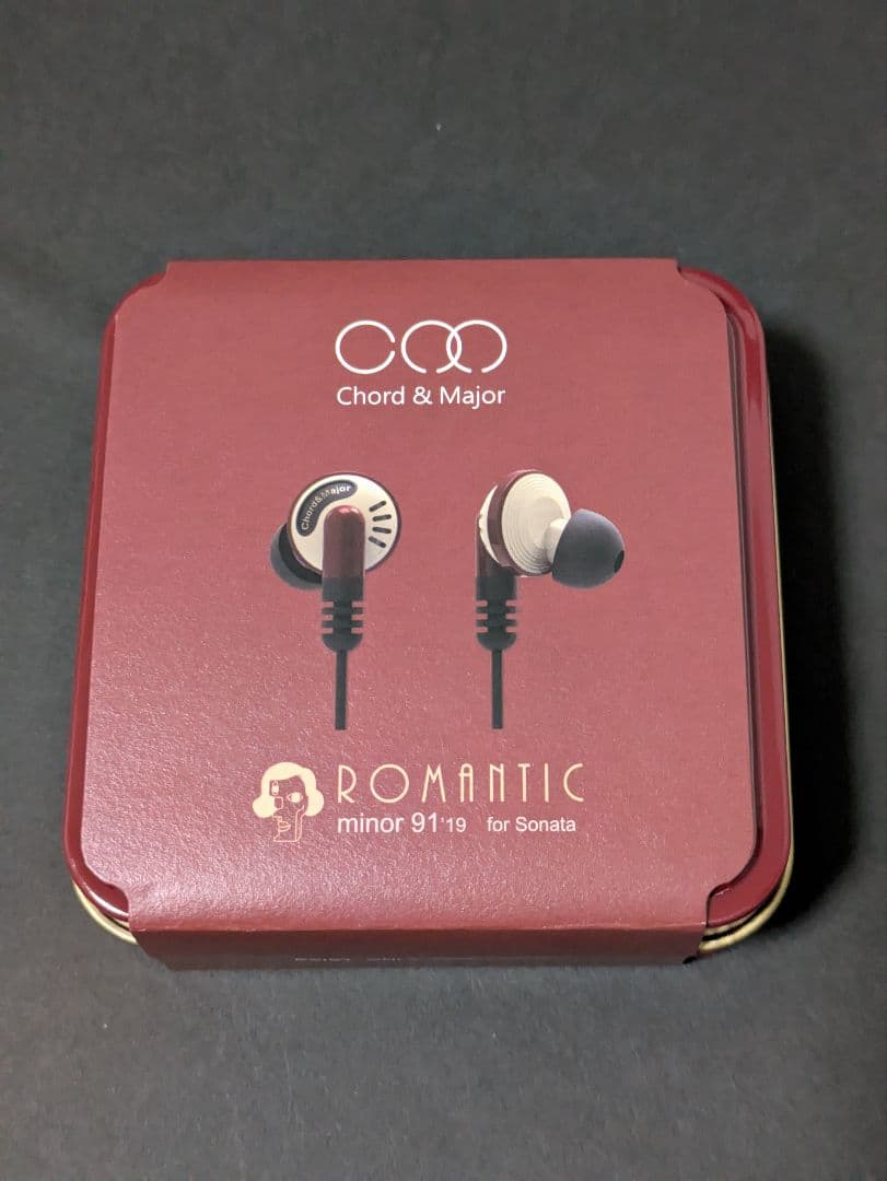 イヤモニ　有線イヤホン　リケーブル可能イヤホン　美品　DAC　清掃済　セット