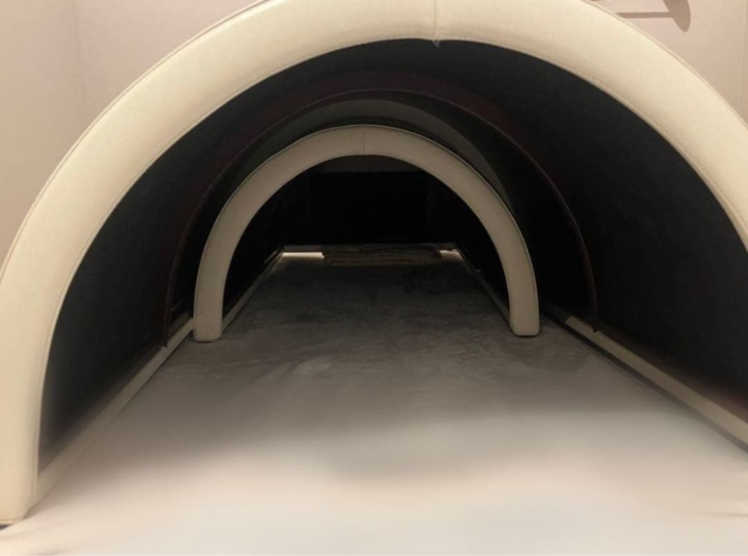 年末セール 遠赤外線ドーム型サウナ フジカ スマーティF4-N5型 FUJIKA