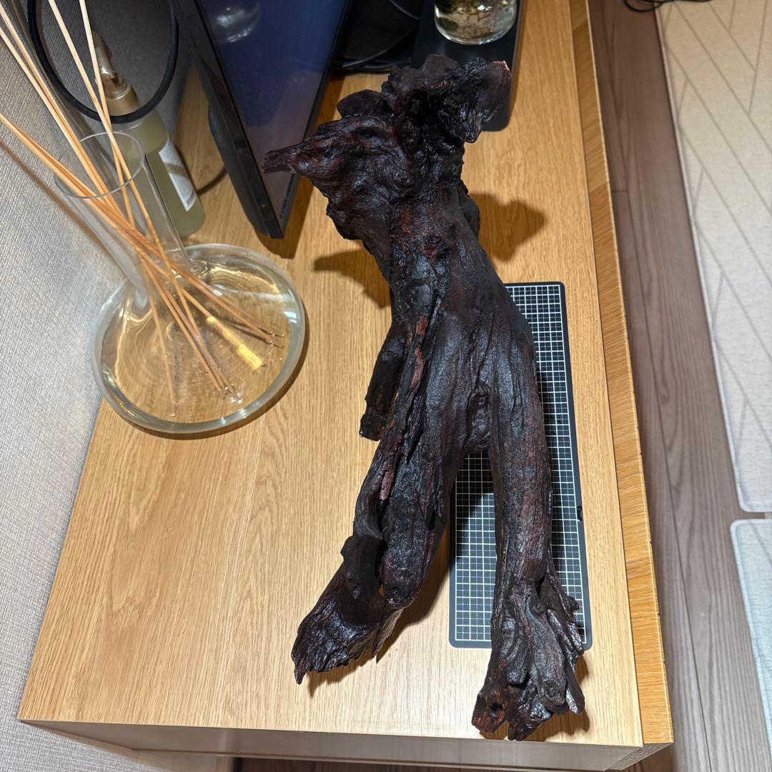 ADA流木　＊まとめ買いの場合は300円引き