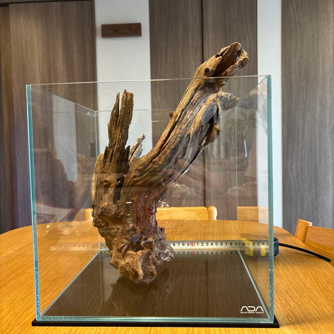 ADA流木　＊まとめ買いの場合は300円引き