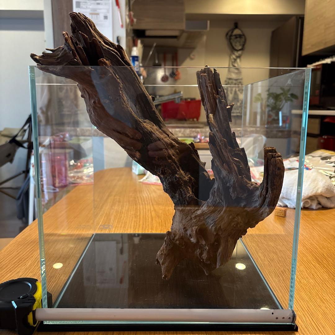 ADA流木　＊まとめ買いの場合は300円引き