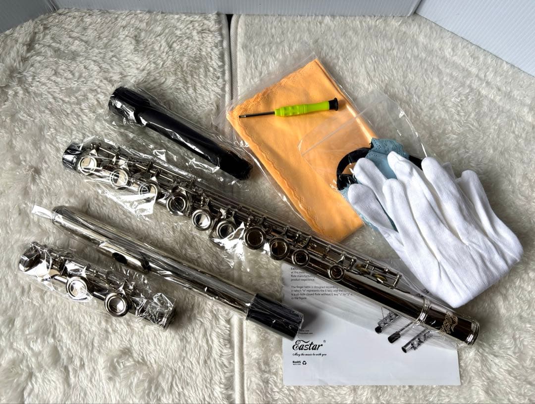 【Eastar】未使用フルート 16穴 クローズドタイプ 初心者セット