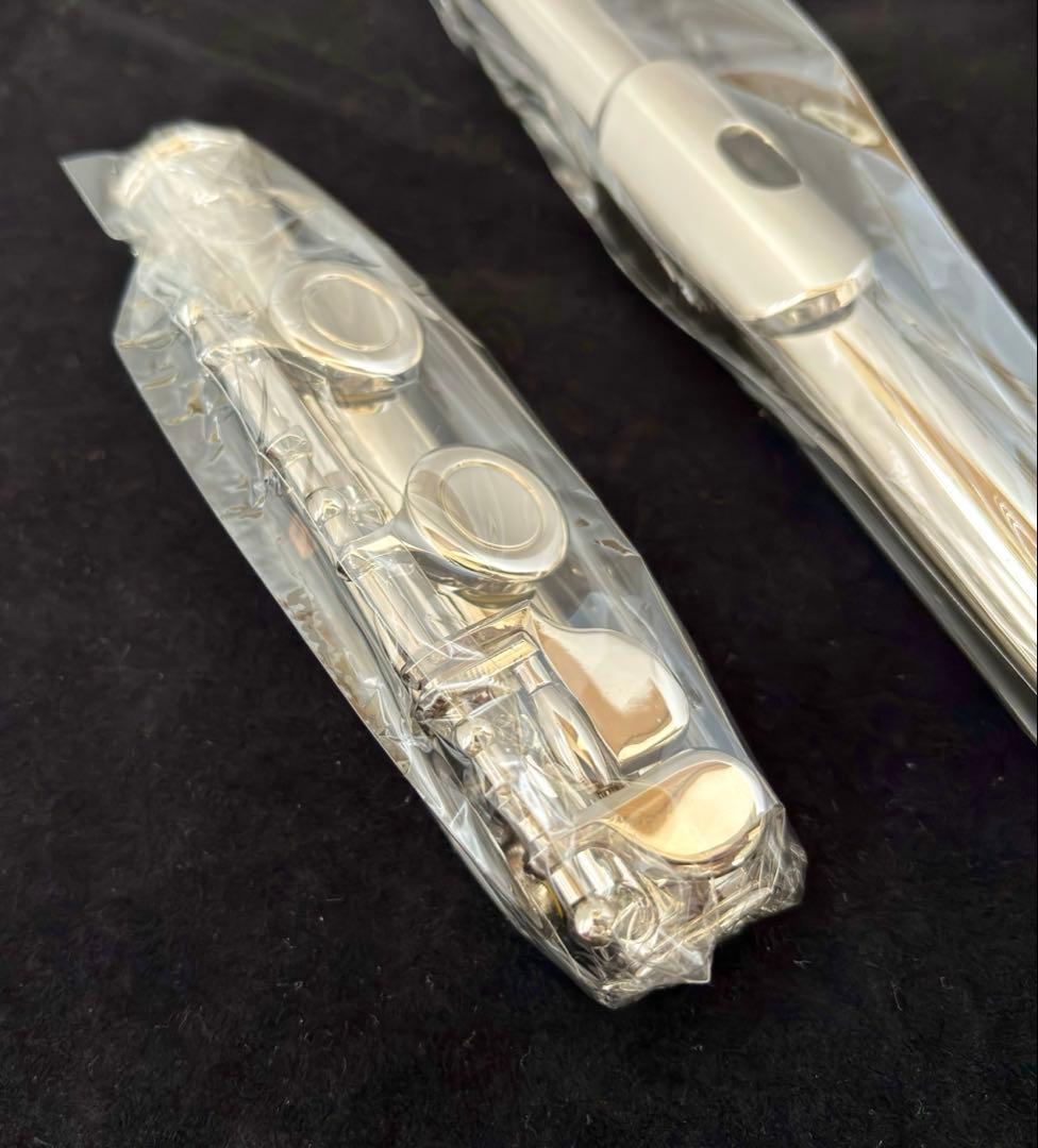 【Eastar】未使用フルート 16穴 クローズドタイプ 初心者セット