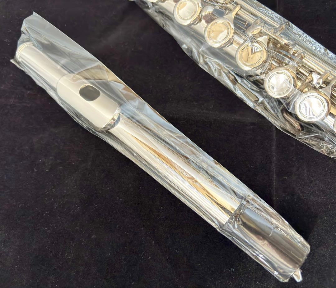 【Eastar】未使用フルート 16穴 クローズドタイプ 初心者セット