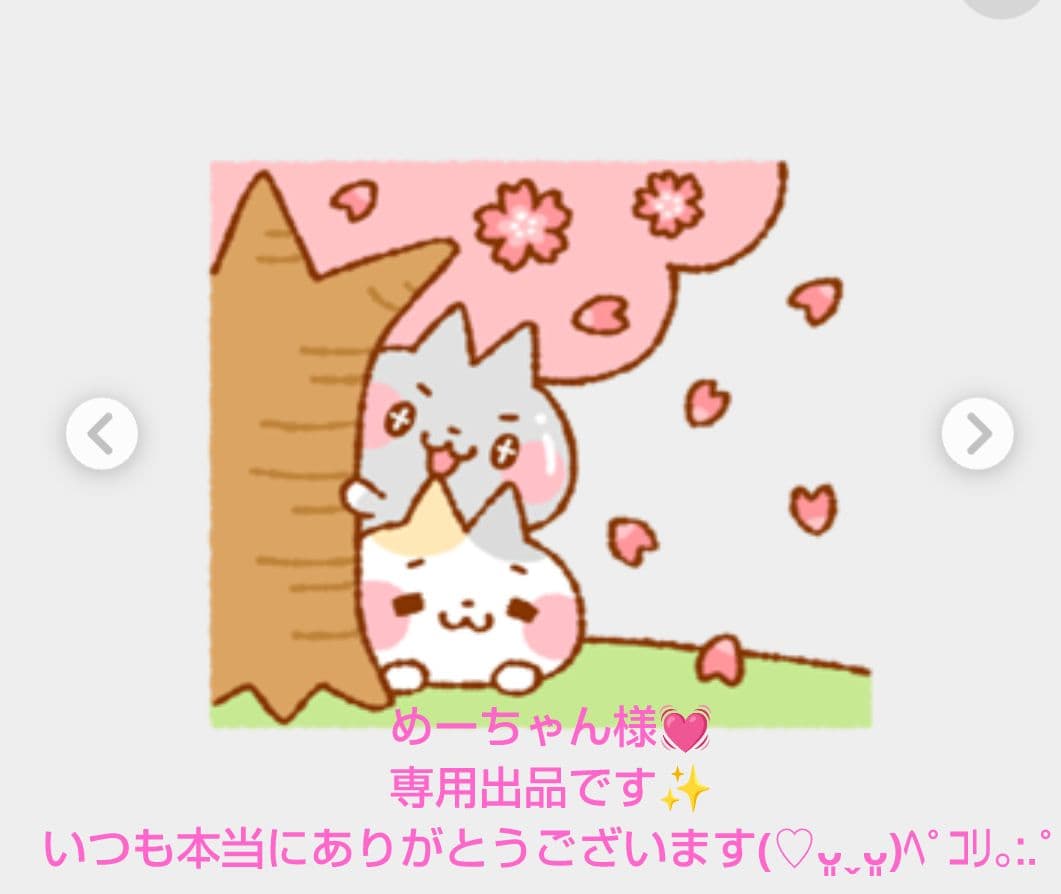 めーちゃん様❣️専用出品です✨️