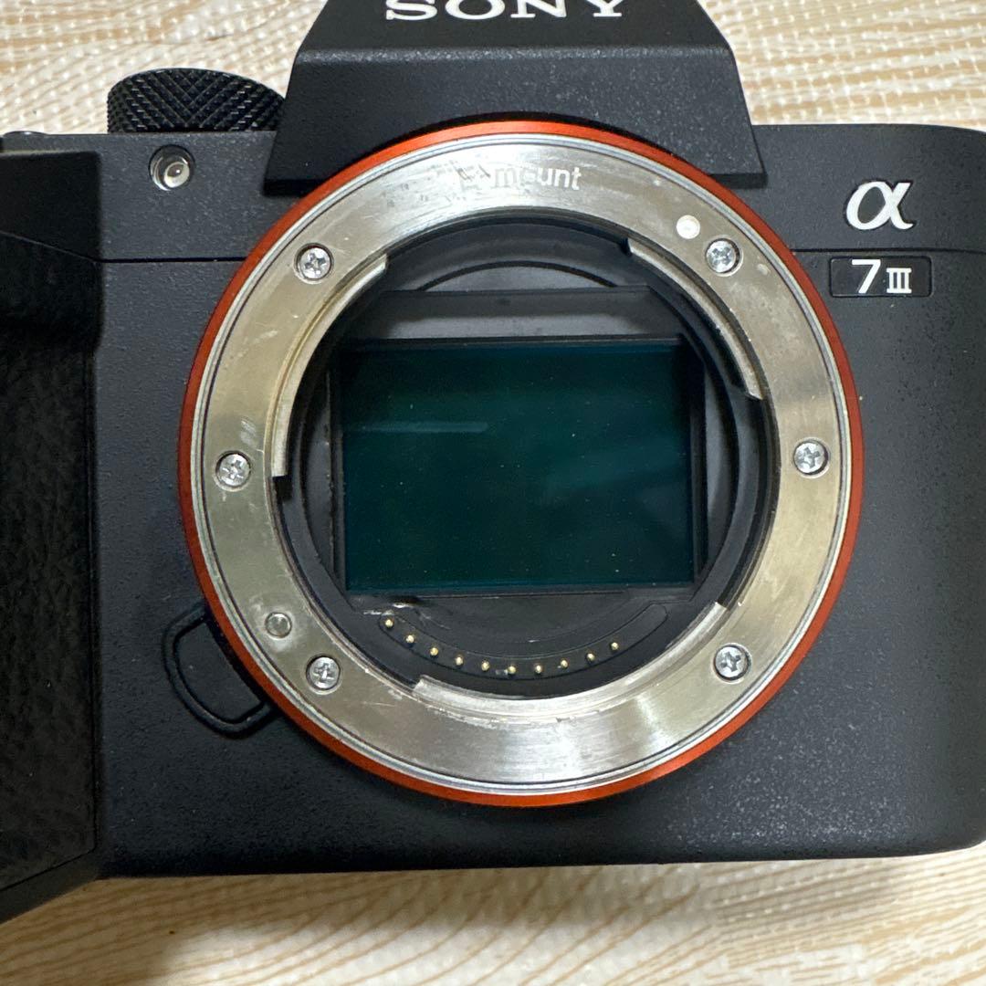 SONY α7 III デジタル一眼レフカメラジャック