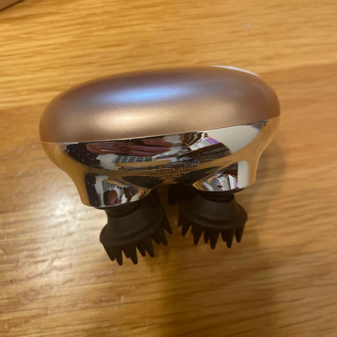 【新品未使用】ZOGANKIN ゾーガンキンスカルプ