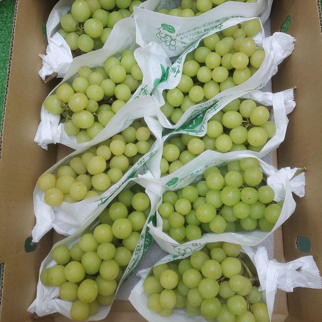 3️⃣ 山梨県産 シャインマスカット ９房入り 箱込み5.3キロ