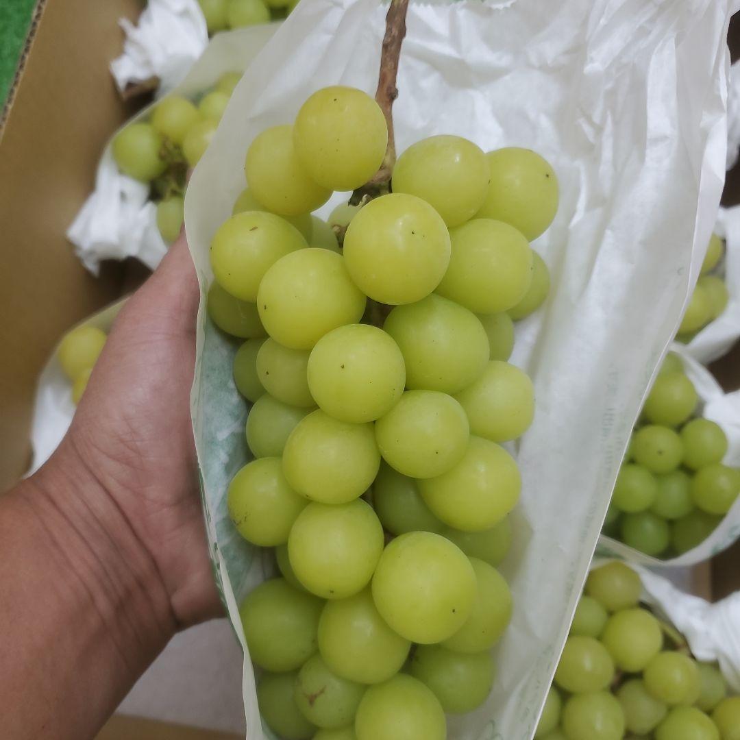 3️⃣ 山梨県産 シャインマスカット ９房入り 箱込み5.3キロ