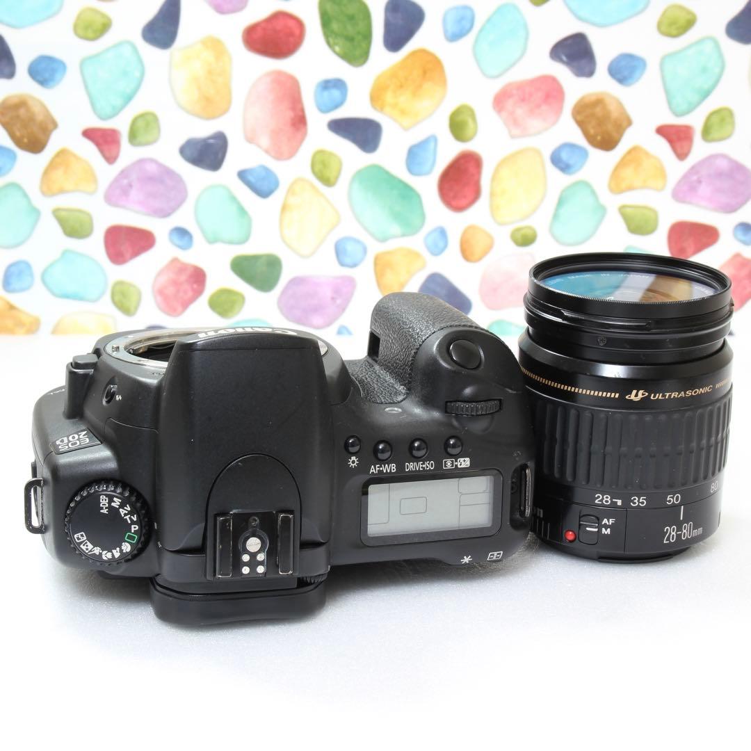 ♥◇Canon EOS 20D ◇おすすめ入門機♪ ◇カメラ選びに迷ったらこれ♪