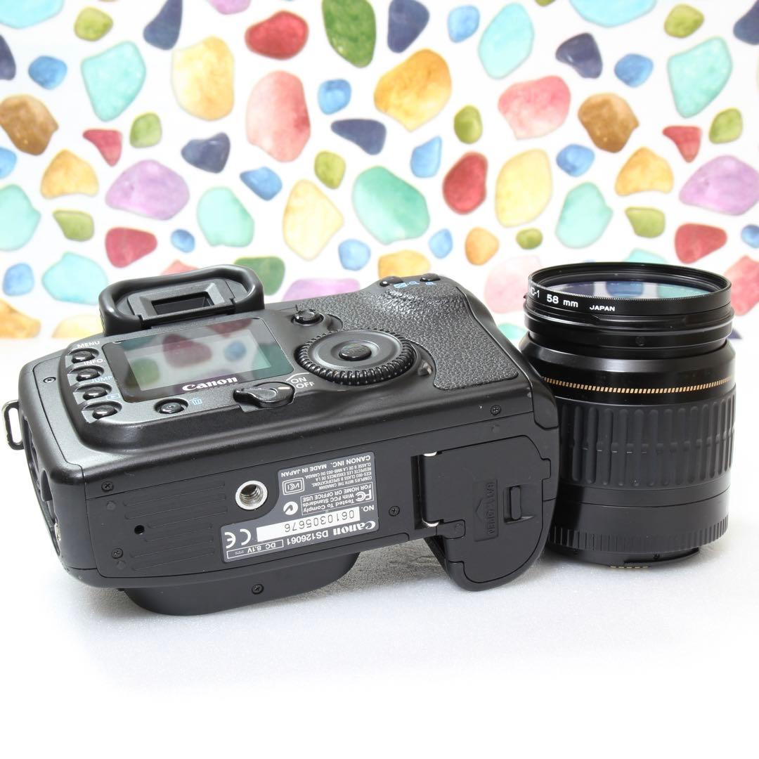 ♥◇Canon EOS 20D ◇おすすめ入門機♪ ◇カメラ選びに迷ったらこれ♪