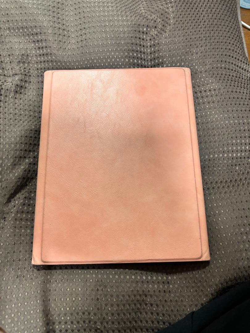 iPad AIR 第五世代256GB ピンクカバー付+ タッチペン