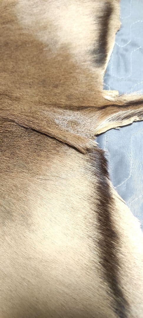 s*5様 本革ファーラグ - アフリカヌーの丸ごと一頭