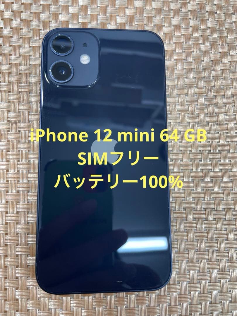 iPhone 12 mini 64 GB ブラックSIMフリー【2970】