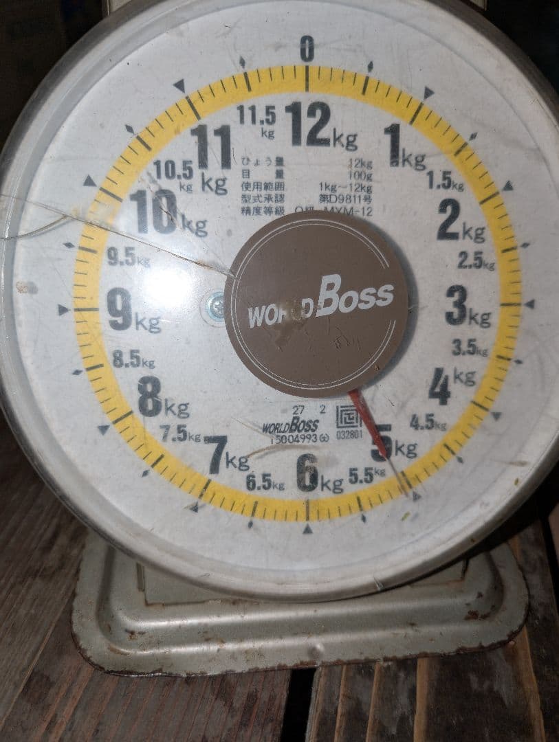 山梨県産ぶどう　サンシャインレッド　10房入り箱込み約5.1kg