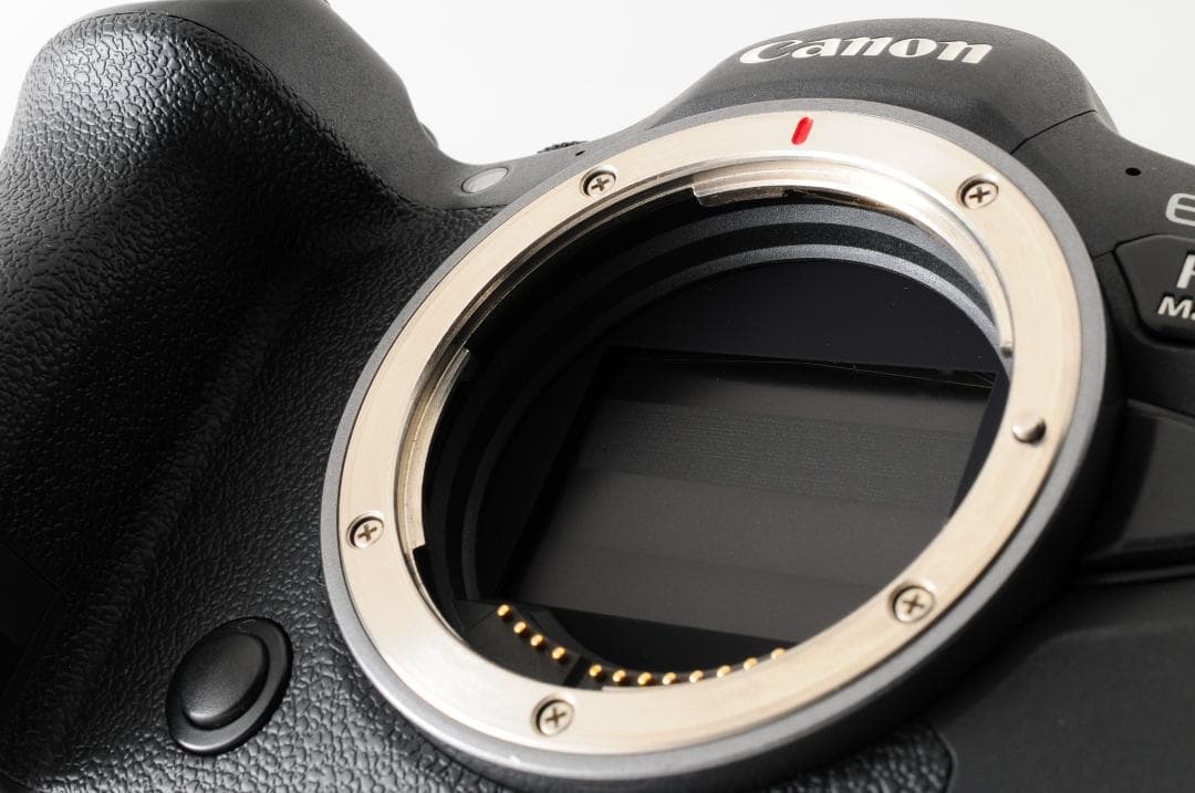 【箱付 美品】 キャノン Canon EOS R6 Mark II ボディ