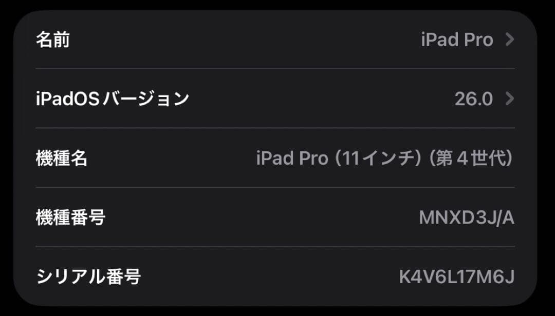 【極美品】 iPad Pro 11インチ 128GB Wi-Fi