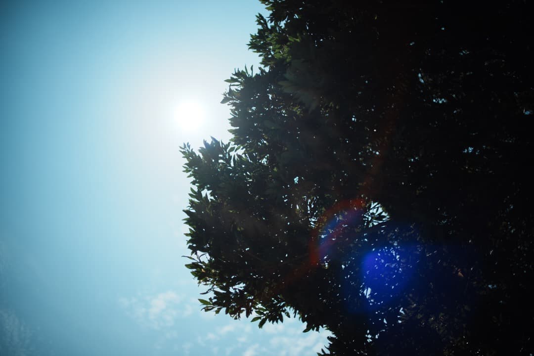 【整備＆テスト済 希少】動作◎ ミノルタ New MD 35mm F1.8 43