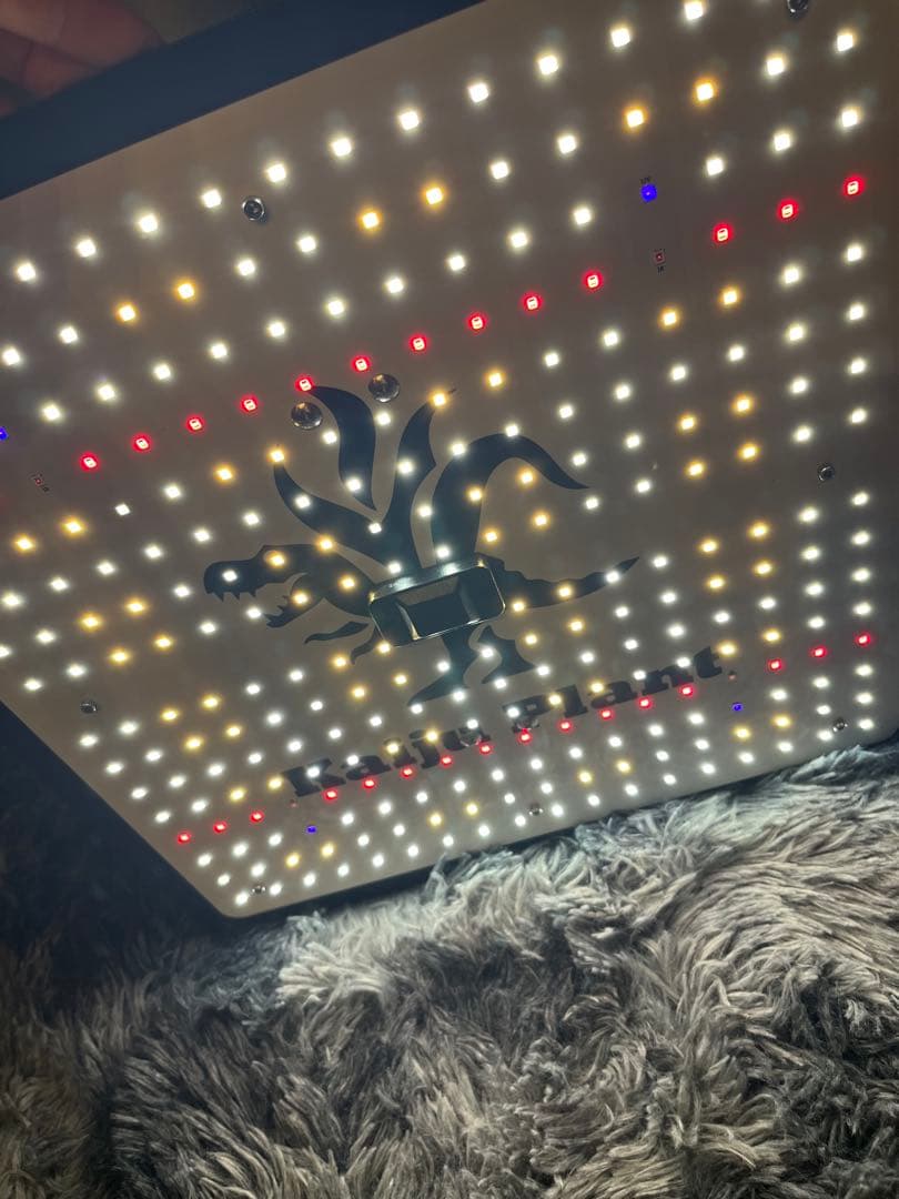 USED Kaiju Plant 怪獣フレア301 ブラック 120W 版