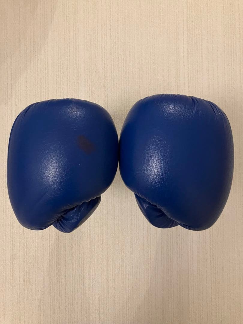 winning ウィニングボクシンググローブ ブルー 12オンス AM-12