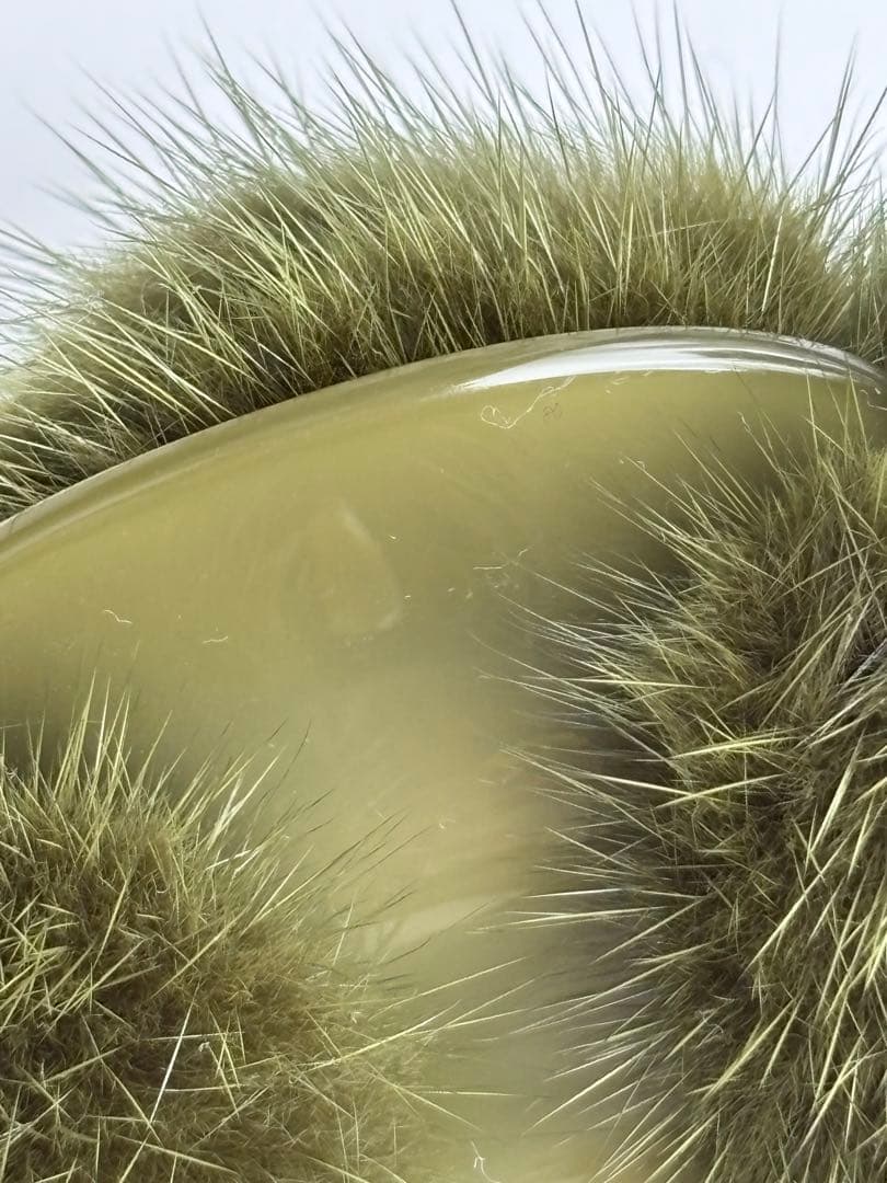 アレクサンドルドゥパリ　オリーブグリーン ミンクファー付きヘアクリップ