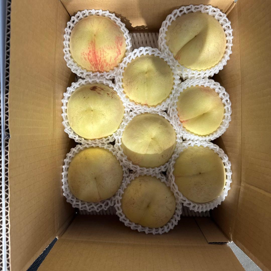 シーエックス　二箱