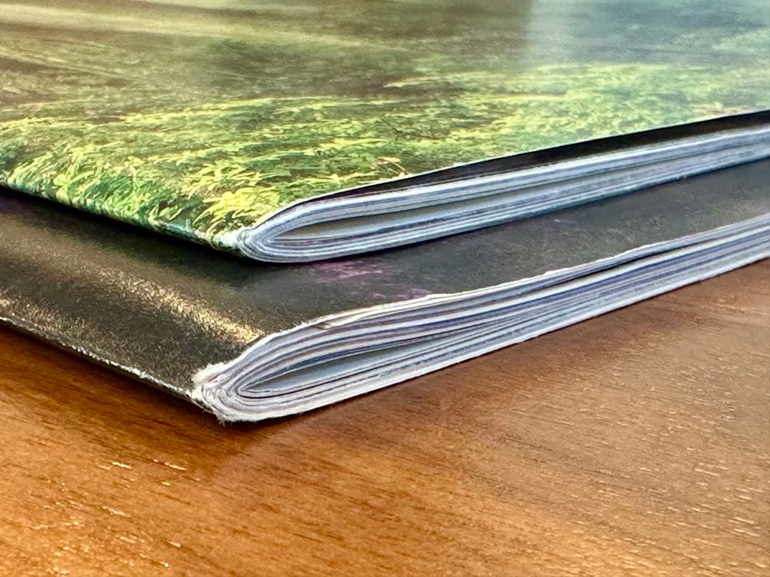 や*ん様 patagonia パタゴニア カタログ 1989spring &fa