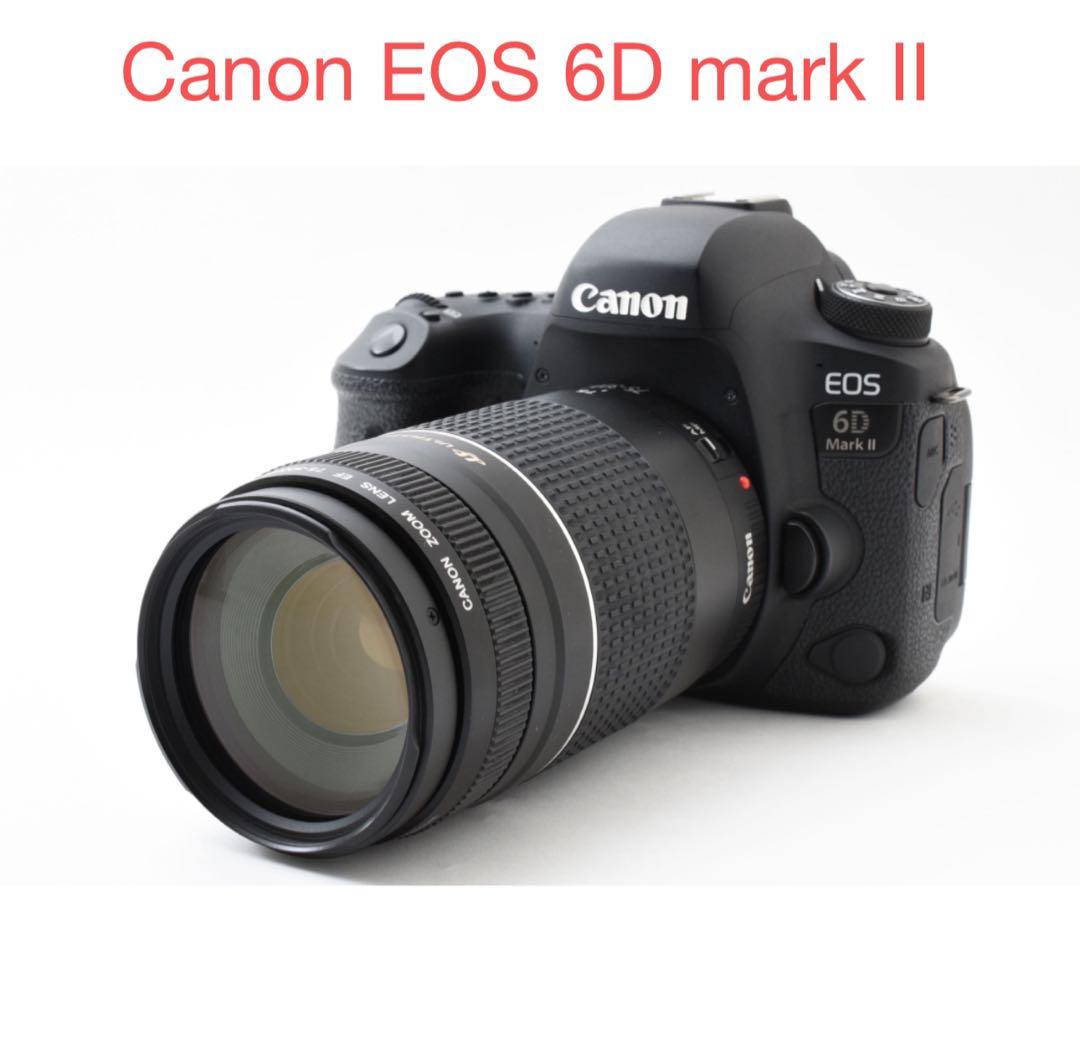 デジタル一眼レフカメラ Canon EOS 6D Mark II望遠レンズセット