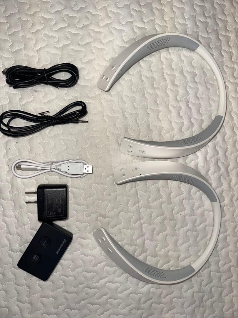 Panasonic ネックスピーカー SC-WN10 2個セット