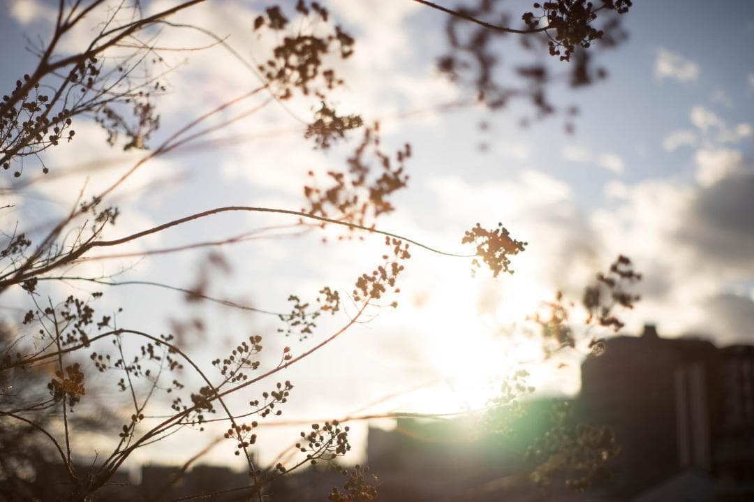 単焦点レンズ スーパータクマー55mm f1.8 191