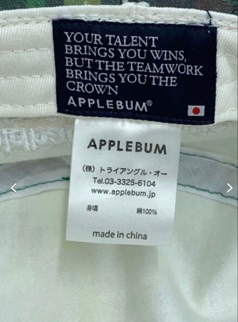 APPLEBUM raidback fabric pixel camoハット
