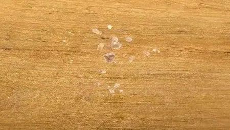 i*i様 東馬 tohma LINA(リナ) カウンター カップボード キッチン