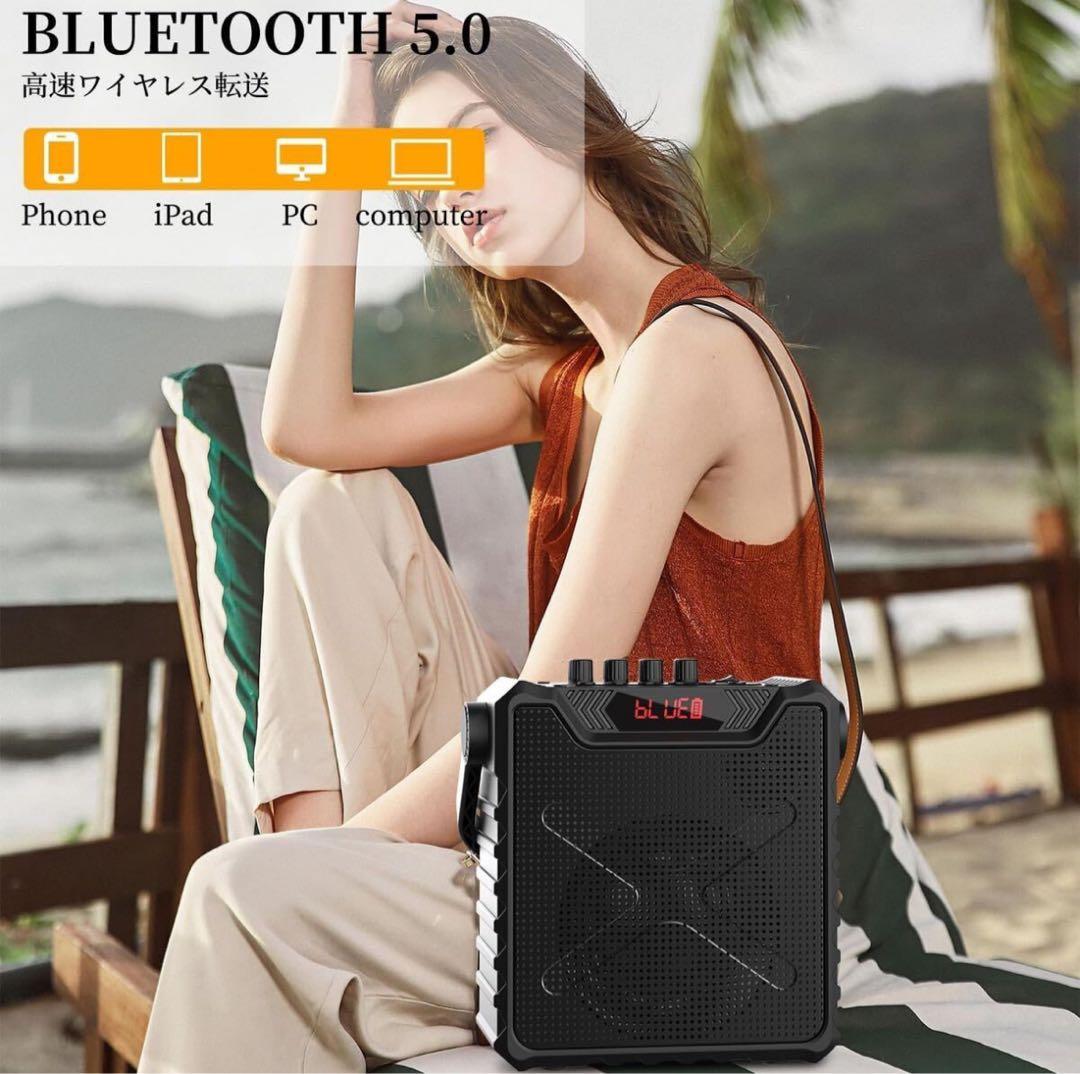 スピーカーセット 拡声器 ワイヤレスマイク2本 ポータブルマイクスピーカー