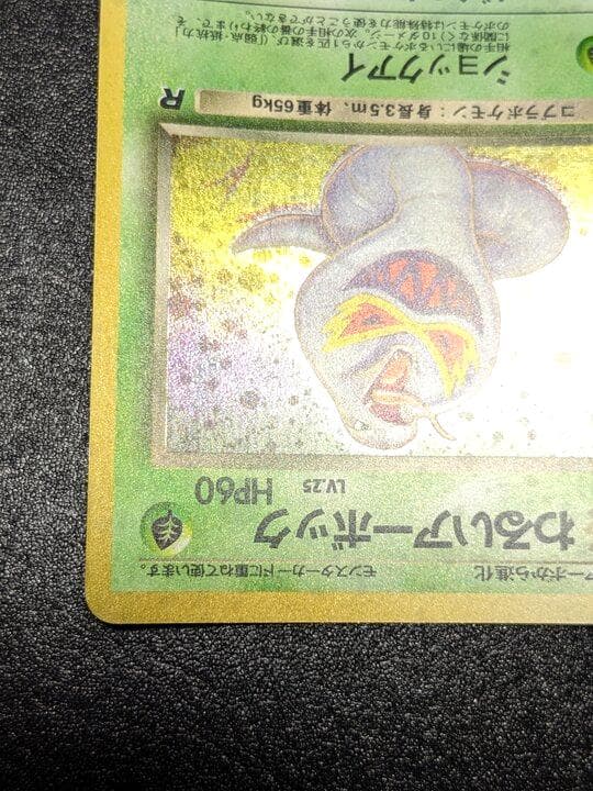 ポケモンカード 旧裏 わるいアーボック