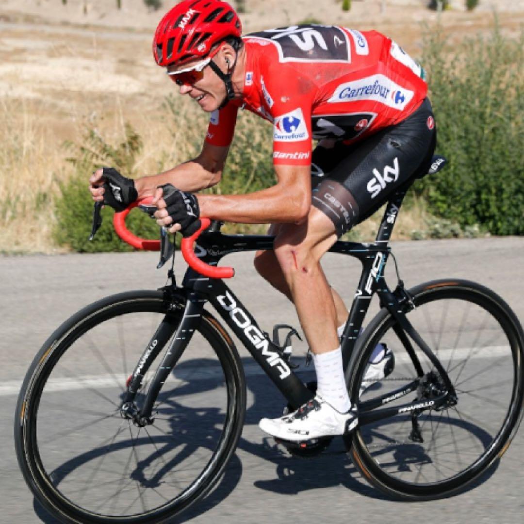 SIDI SHOT クリスフルーム リミテッドエディション EU43.5