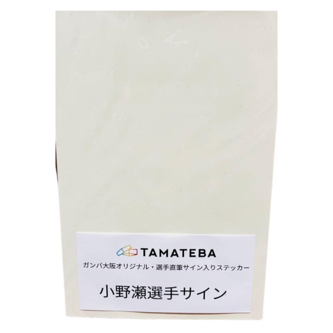 Panasonic RZ-S50W ワイヤレスイヤホン GAMBA OSAKA