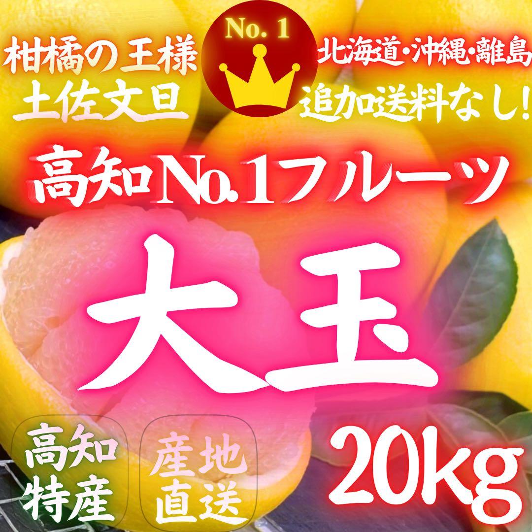 33高知特産 露地栽培 土佐文旦 3L4L文旦 約20kg 大玉 サイズ