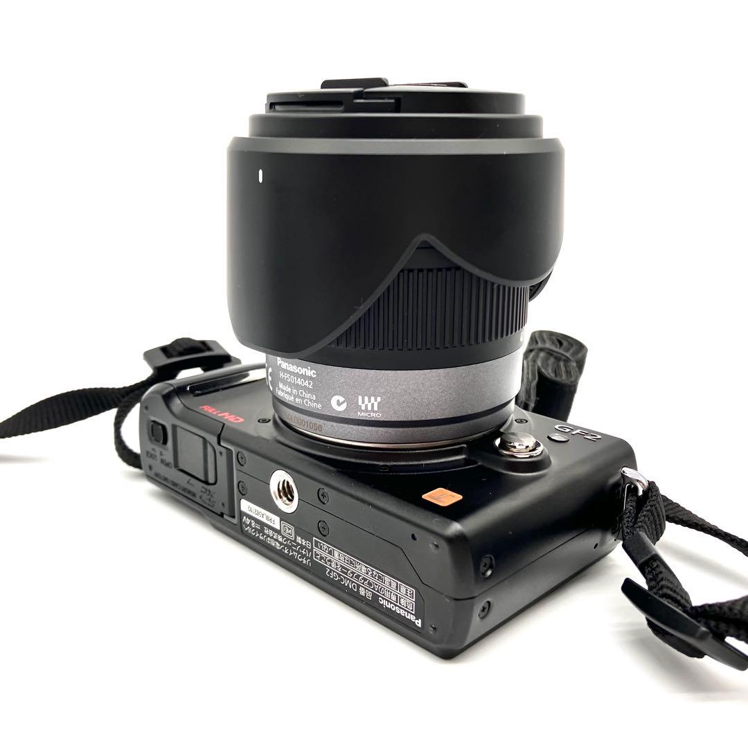 Panasonic DMC-GF2 ブラック 14-42mmレンズキット