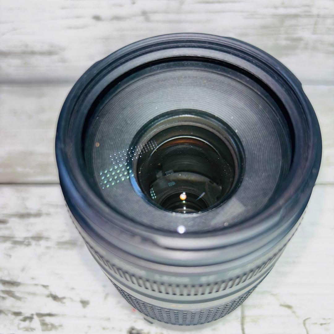 Canon ズームレンズ EF 75-300mm F4-5.6 Ⅲ USM