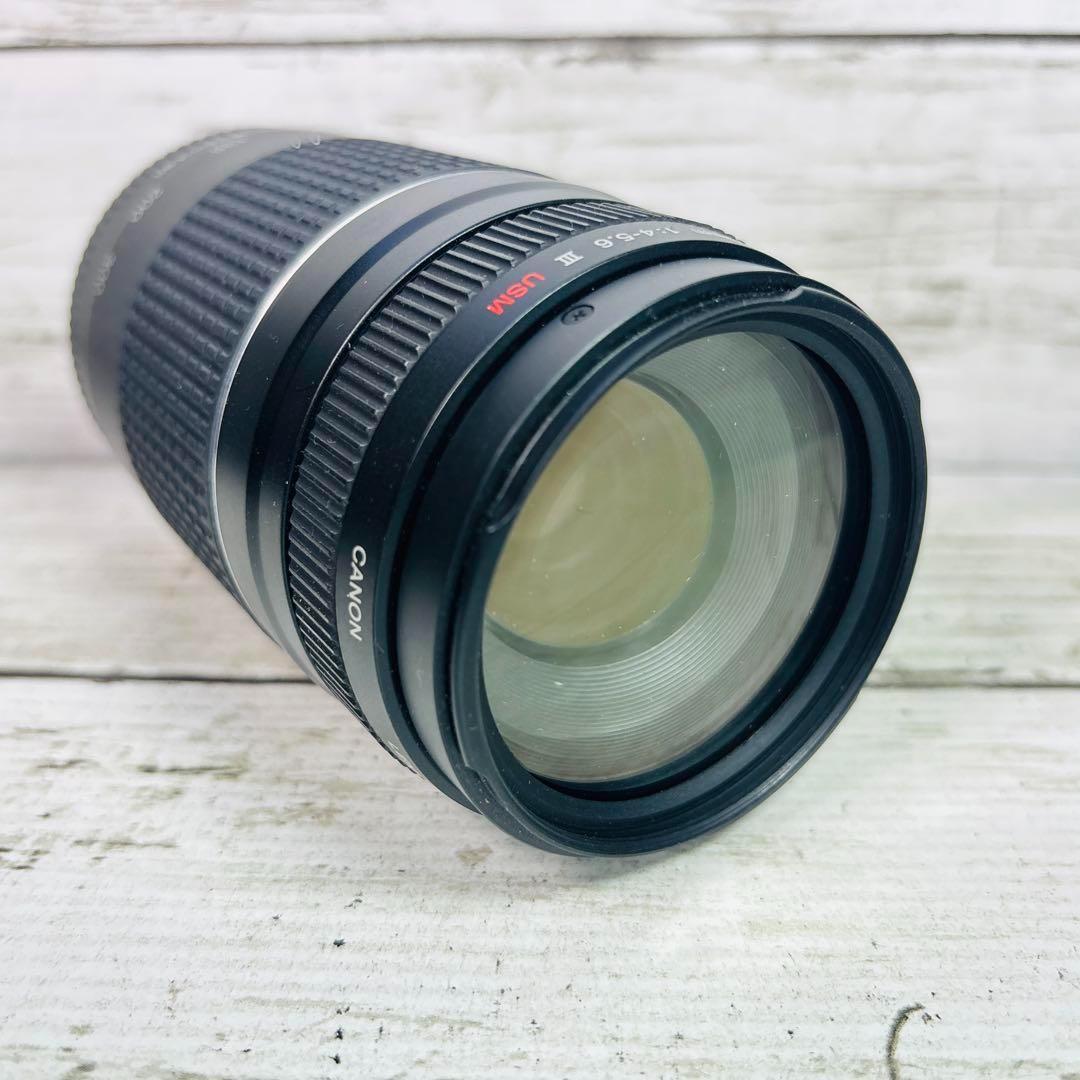 Canon ズームレンズ EF 75-300mm F4-5.6 Ⅲ USM