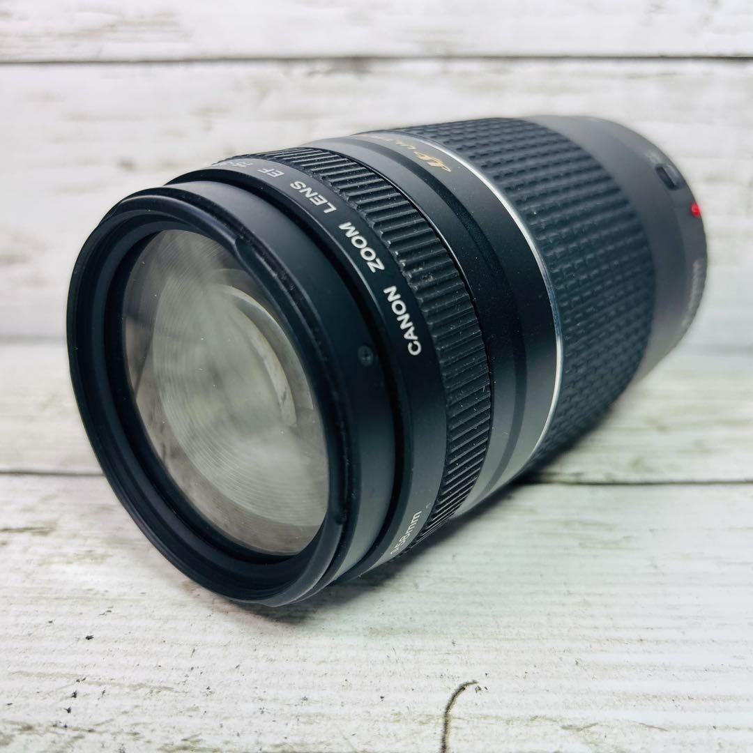 Canon ズームレンズ EF 75-300mm F4-5.6 Ⅲ USM