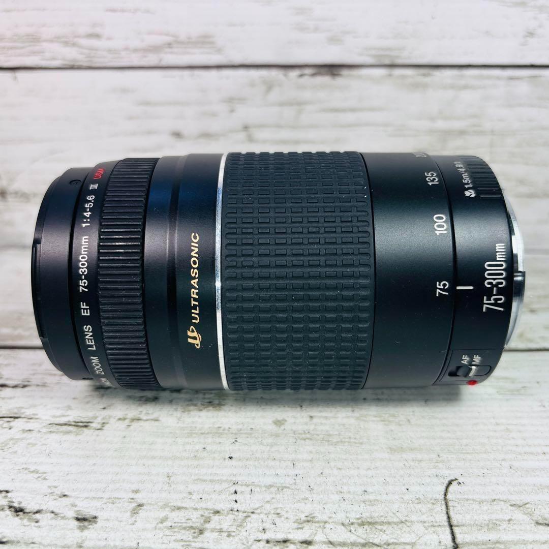 Canon ズームレンズ EF 75-300mm F4-5.6 Ⅲ USM