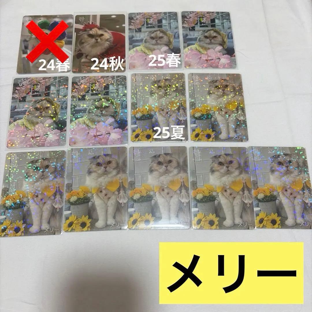 猫カフェ mocha 町田 にゃんずトレカ