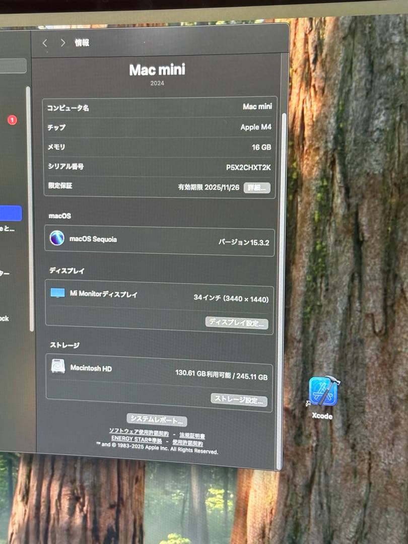 M4 Mac mini、16GB/256GB