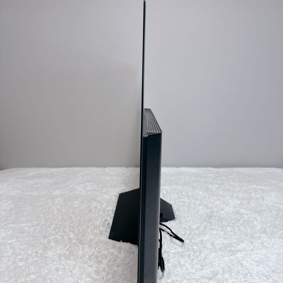 LG　エルジー　有機ELテレビ　48型　OLED48CXPJA