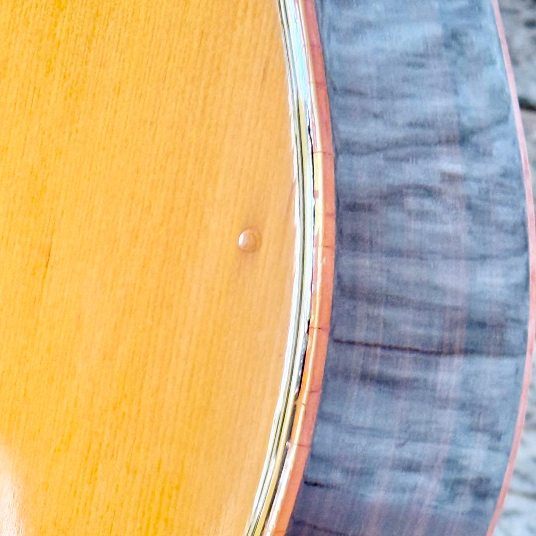 Elite by Takamine TW-25 '70年代ヴィンテージアコギ