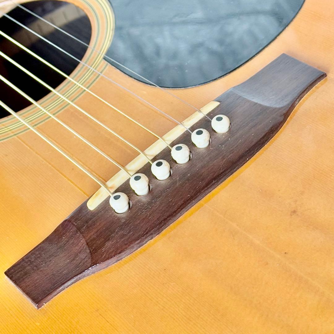 Elite by Takamine TW-25 '70年代ヴィンテージアコギ